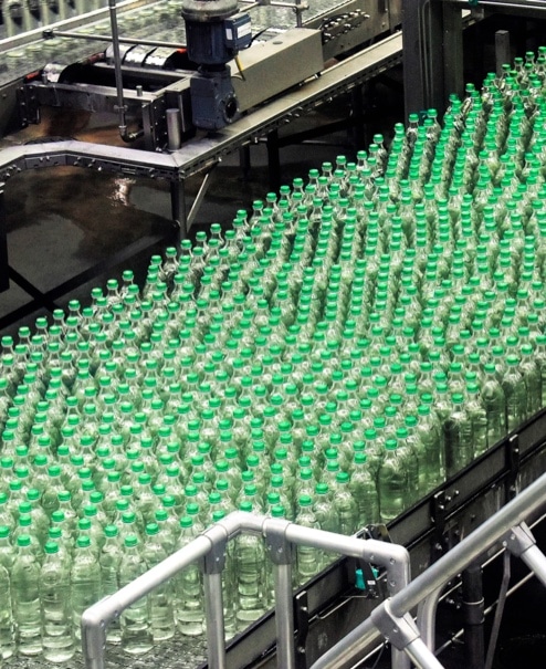 Many green bottles lined up in a number of rows.