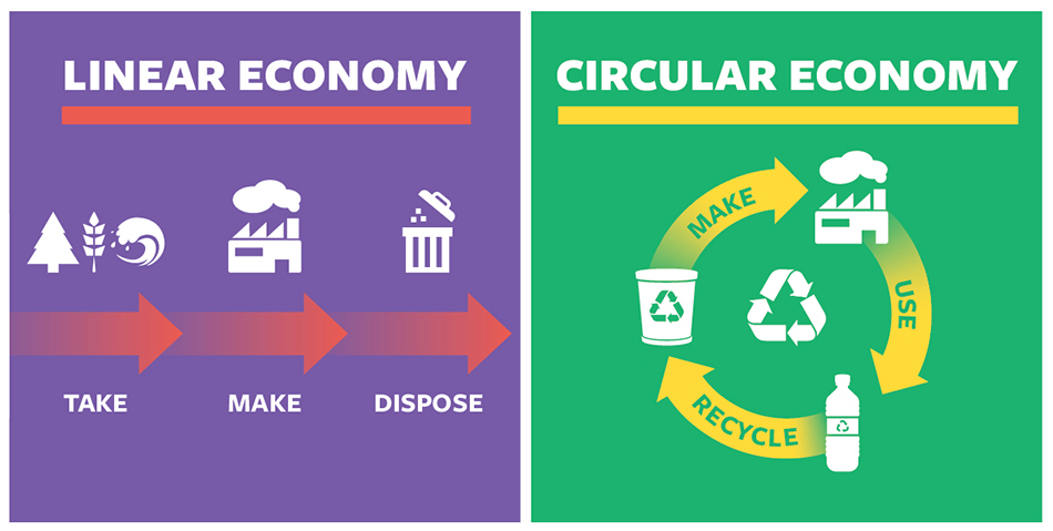 The differences between the linear economy and the circular economy.