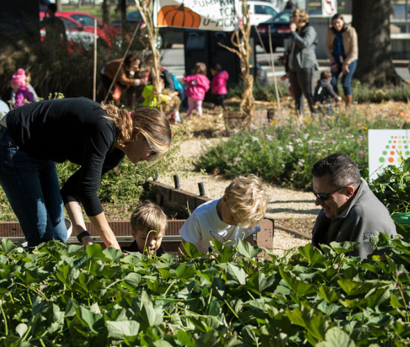 Recycling Savvy & Resourceful: 67% Rate Knowledge High, 60% Reuse Packaging For Gardening