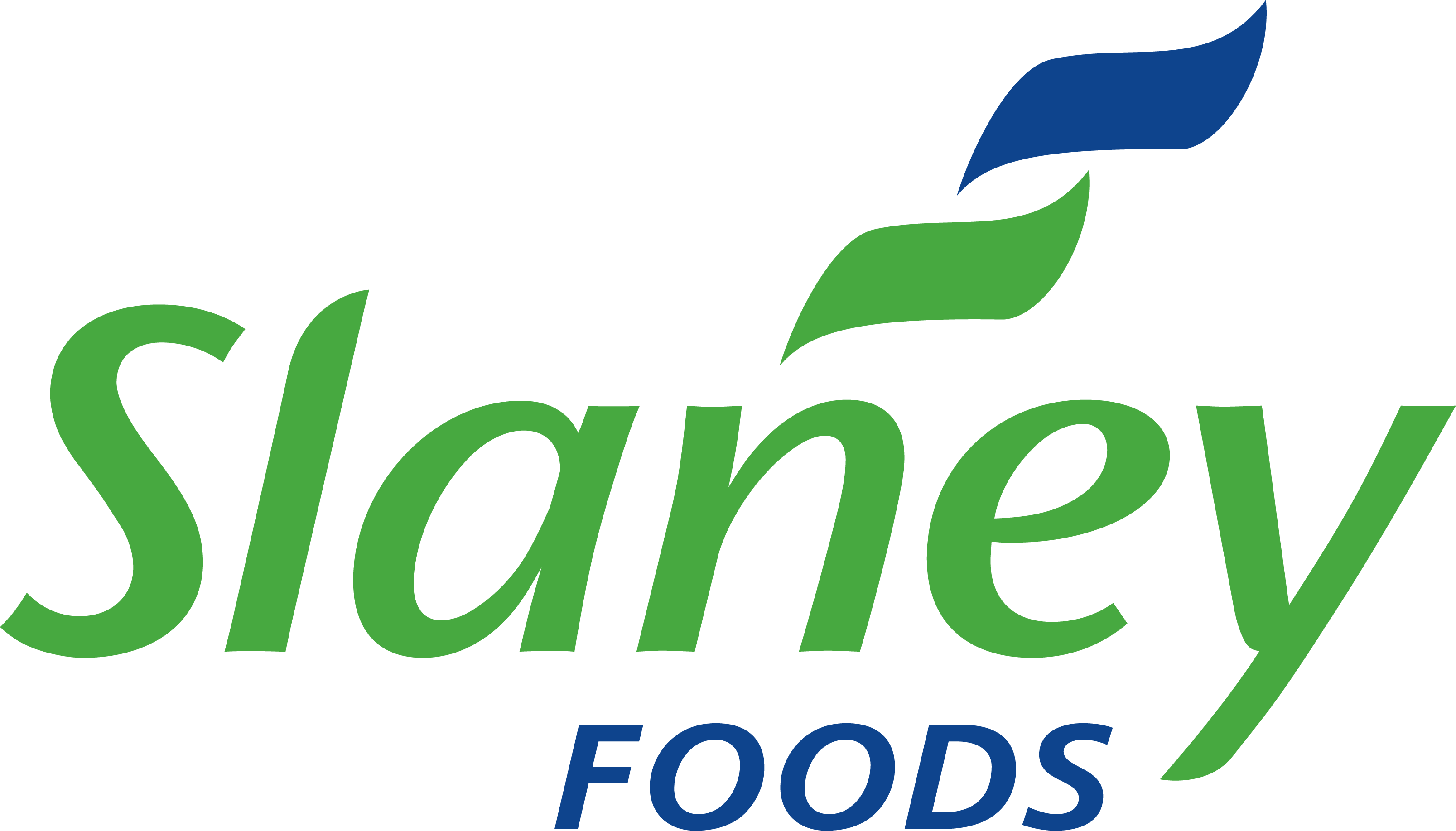 Slaney Foods International logo